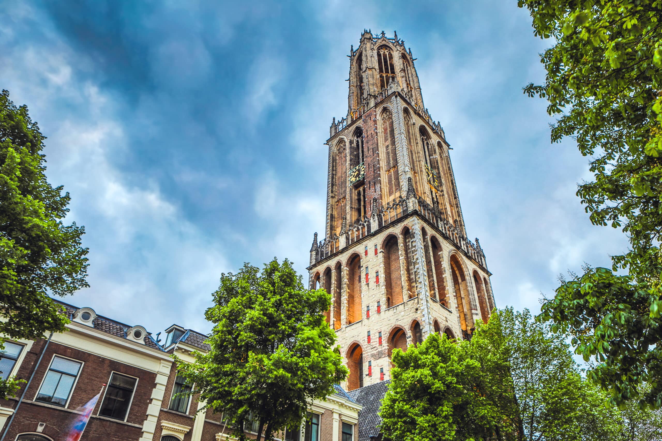 Domtoren de huisvrienden